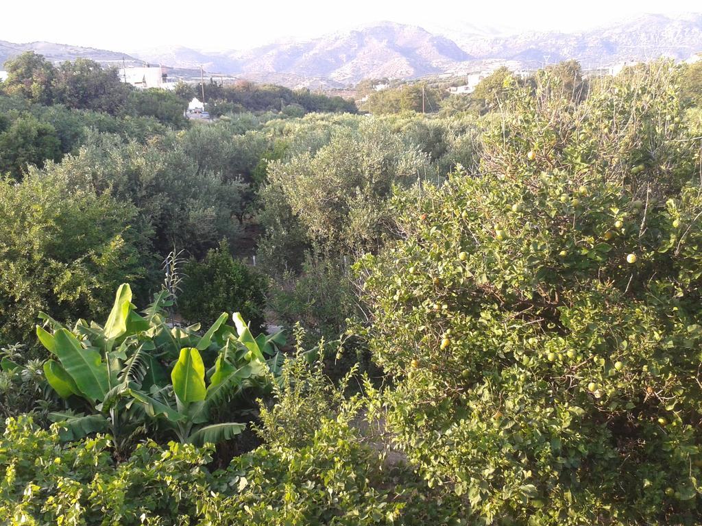Βig Βlue Apartments Makrýgialos Quarto foto
