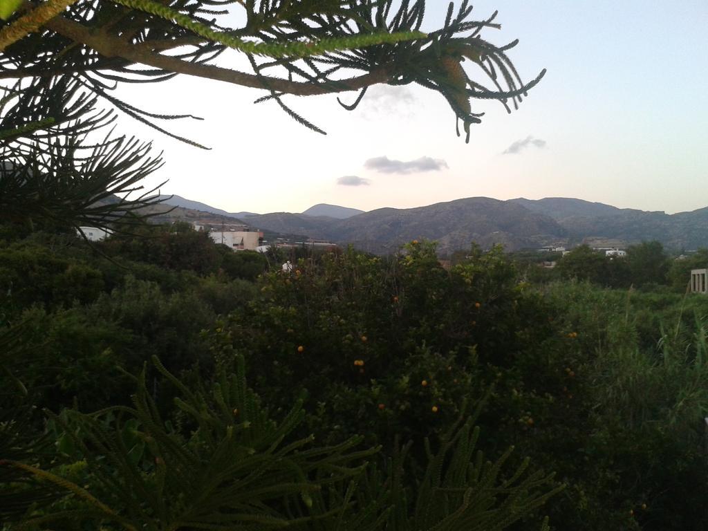 Βig Βlue Apartments Makrýgialos Quarto foto